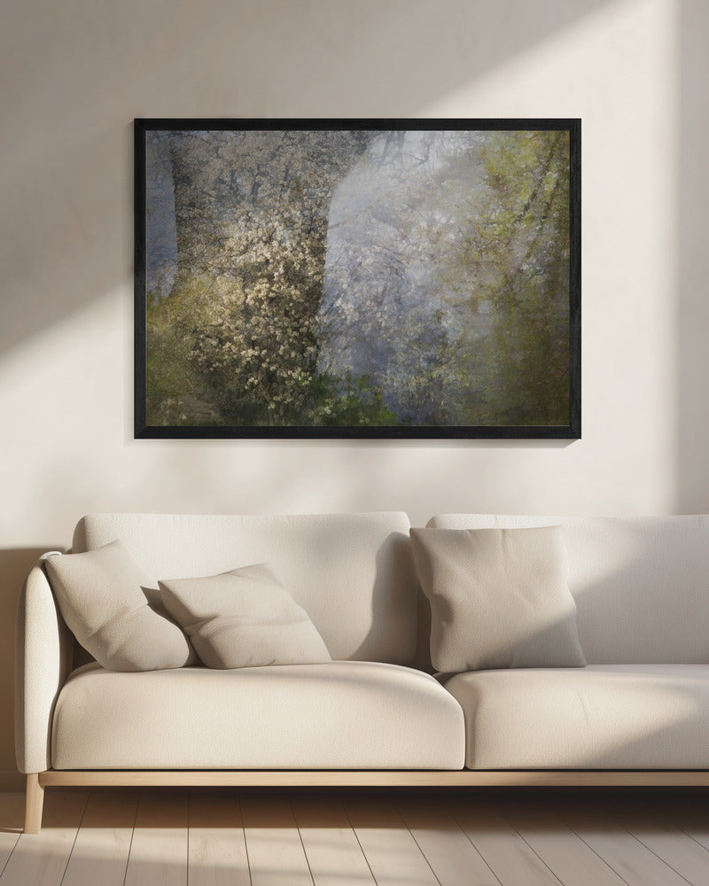 Bloesem | Canvas