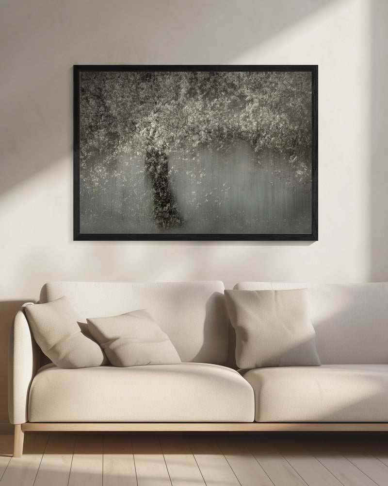 Witte bloesem | Canvas