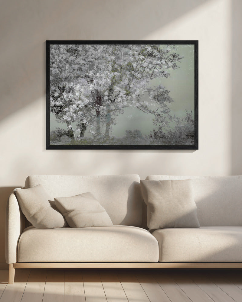 Lente | Canvas