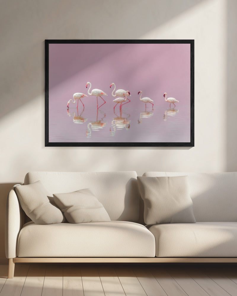Flamingo's | Canvas
