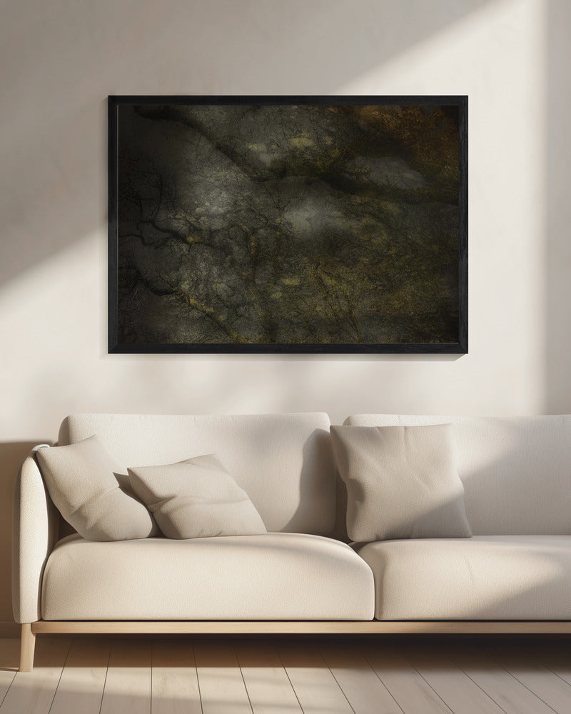Oud bos | Canvas