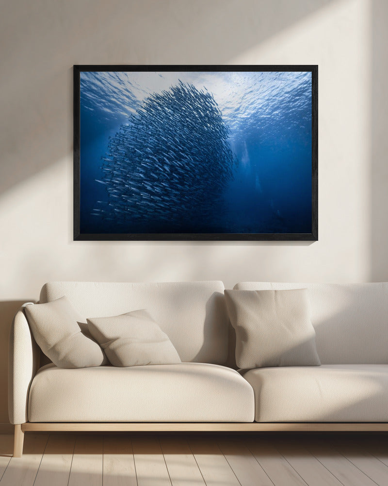 Massagigant | Canvas