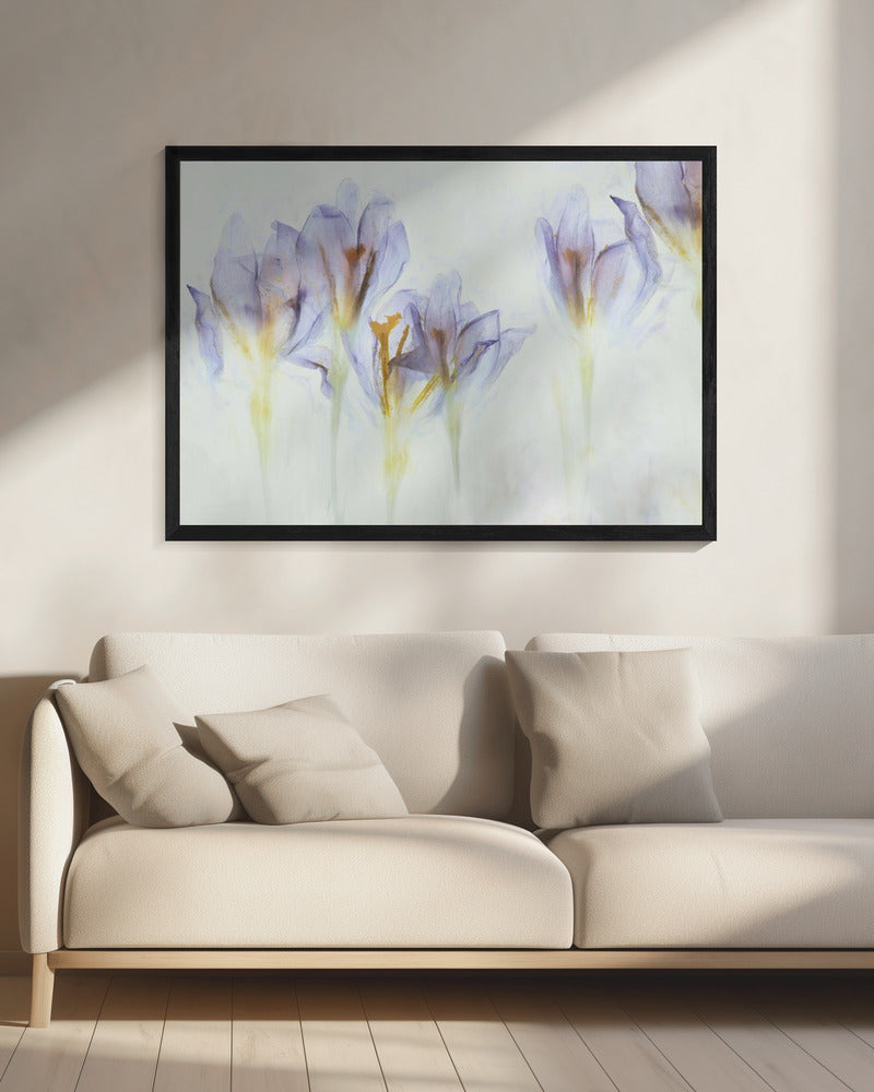 Lente | Canvas