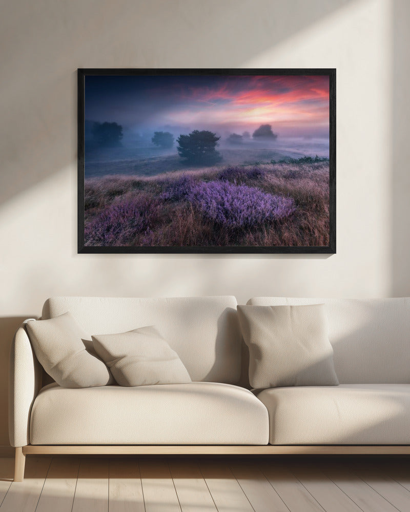 "de kleuren van heide" | Canvas