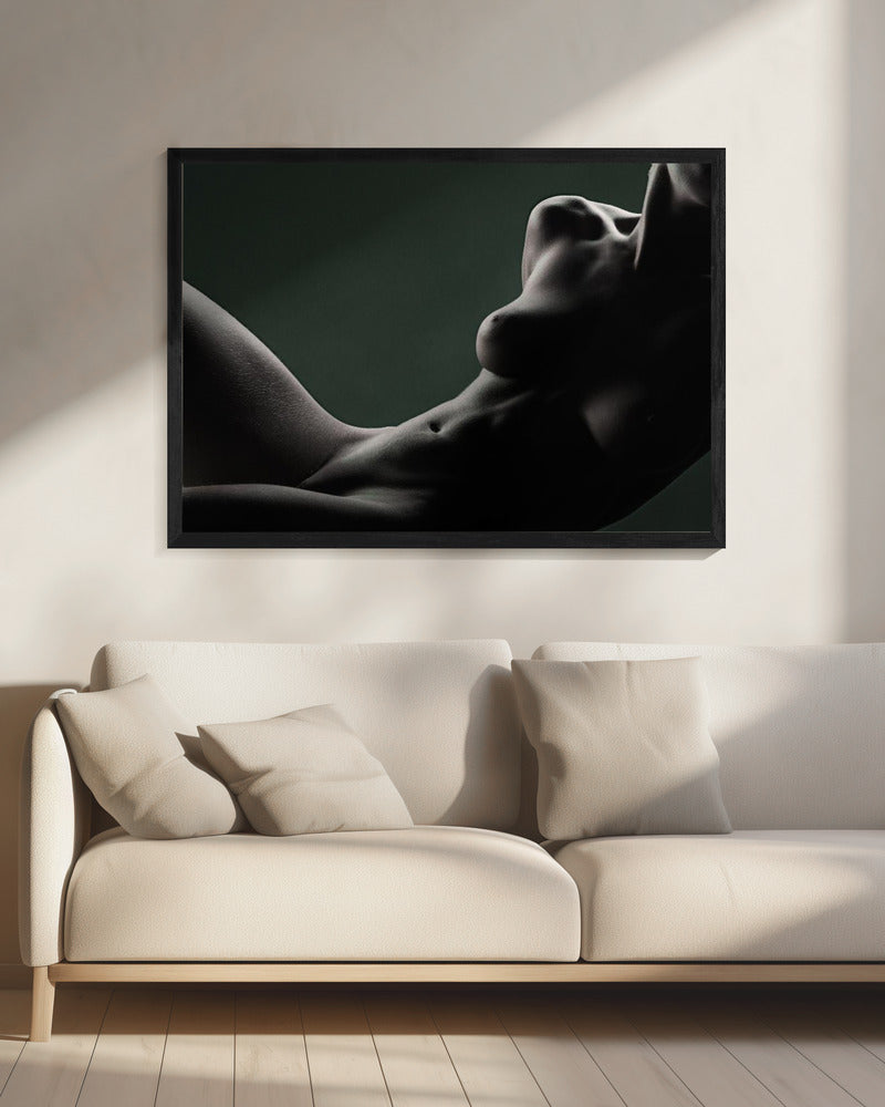 Elegance | Canvas