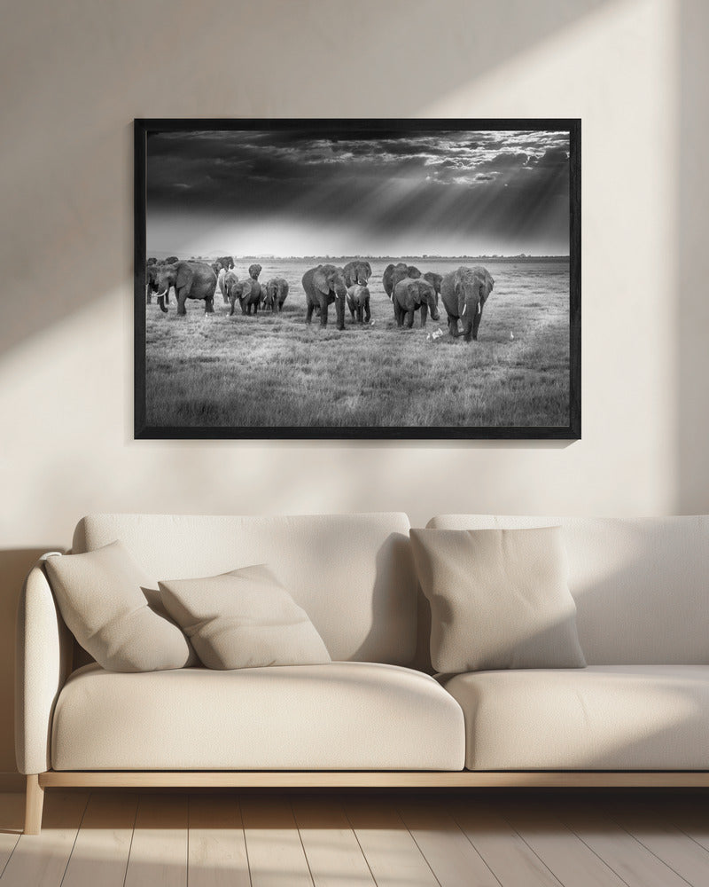 Ontbijt met dikhuiden | Canvas