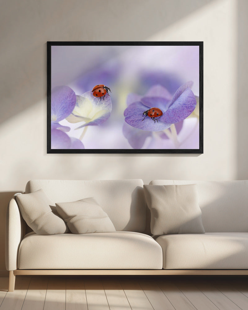 Rood en paars | Canvas