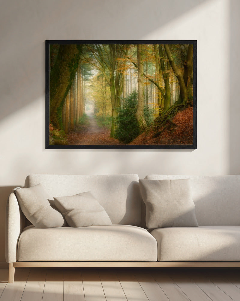 Volg de mist | Canvas