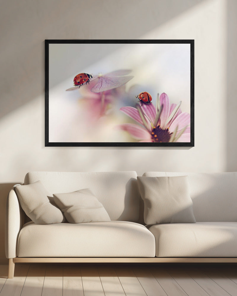 Laatste zomerdagen | Canvas