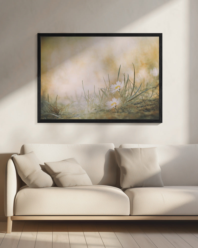 Zonder titel | Canvas
