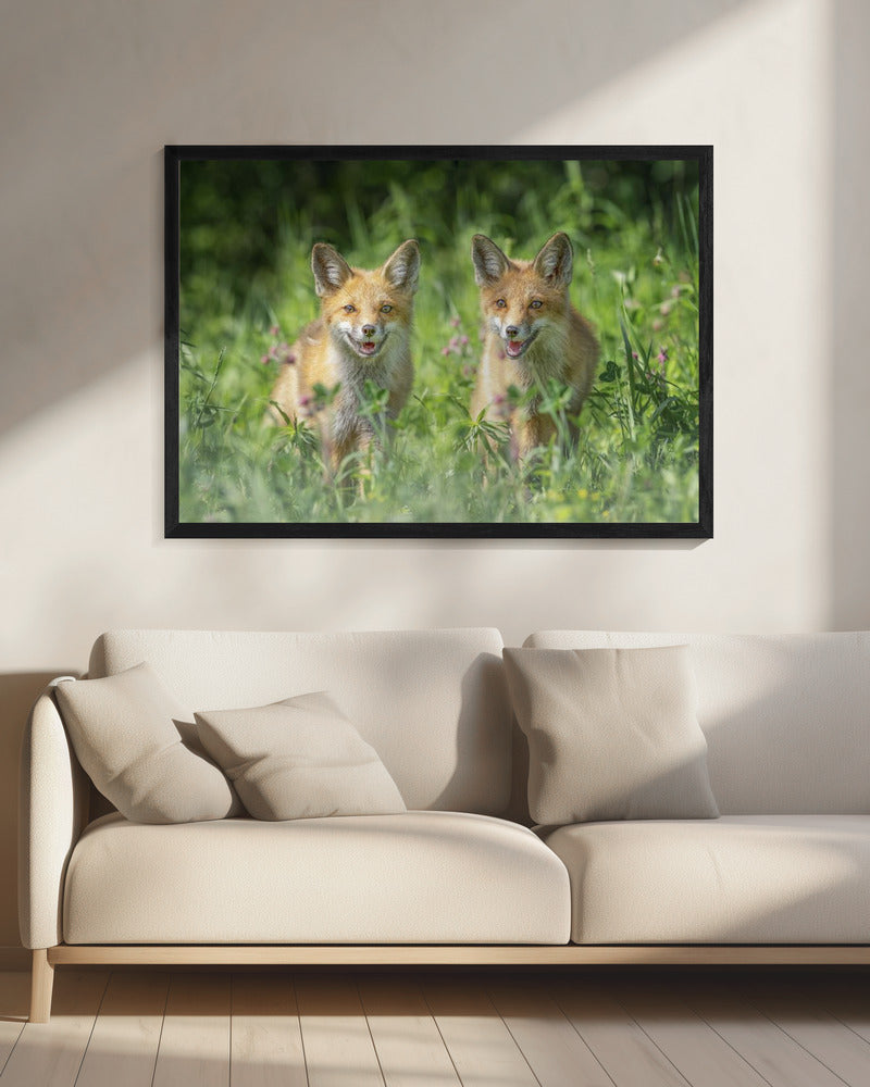 Broers | Canvas