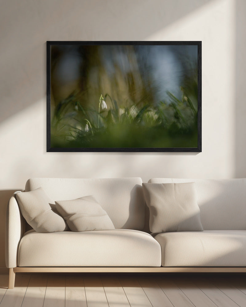 Almost alone... | Canvas
