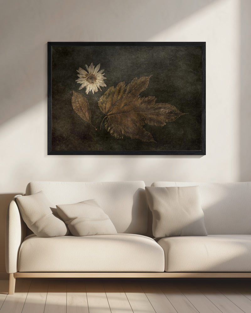 Het Trio | Canvas