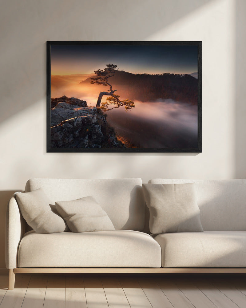 Sokolica | Canvas