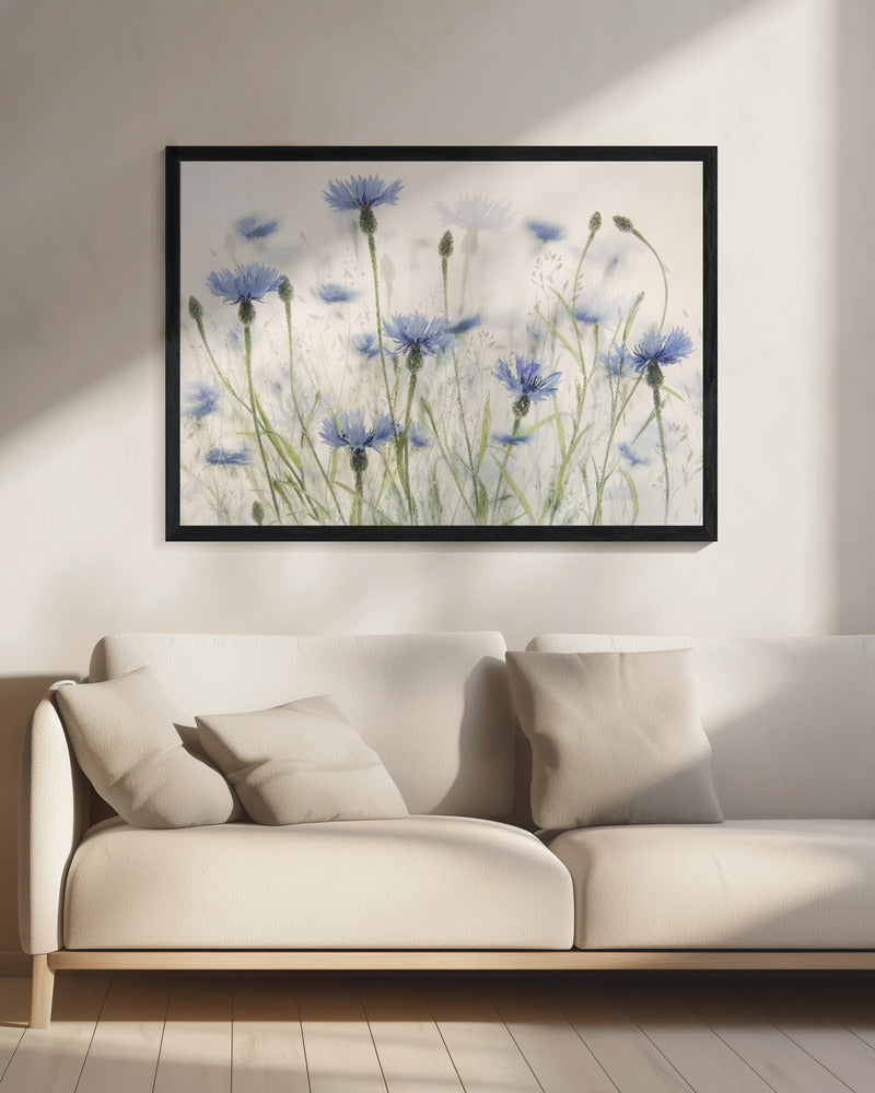 Korenbloemen | Canvas