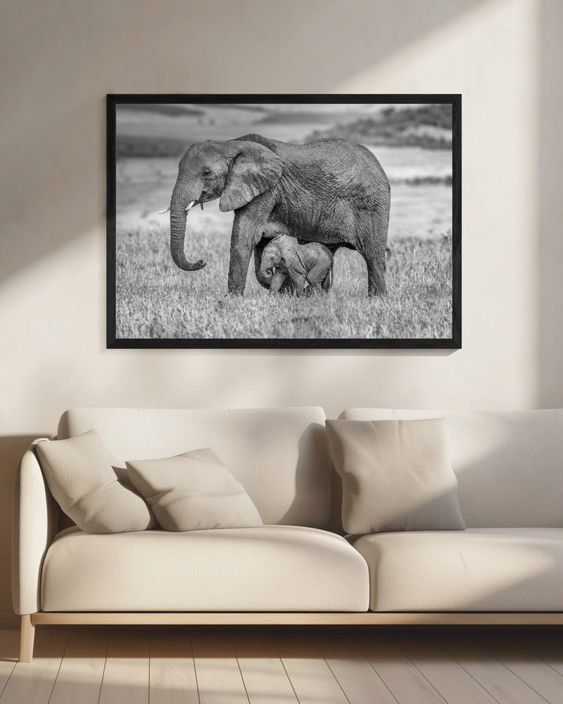 Dichtbij en beschermd blijven | Canvas
