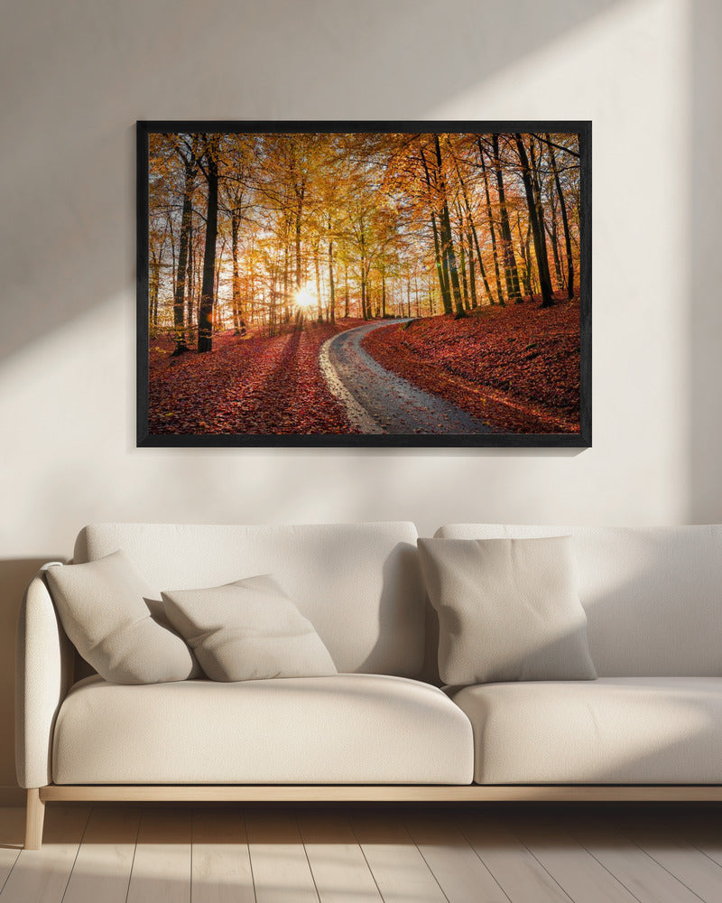 Weg in nationaal park Söderåsen, Zweden | Canvas