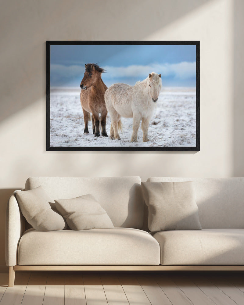 BROERS | Canvas