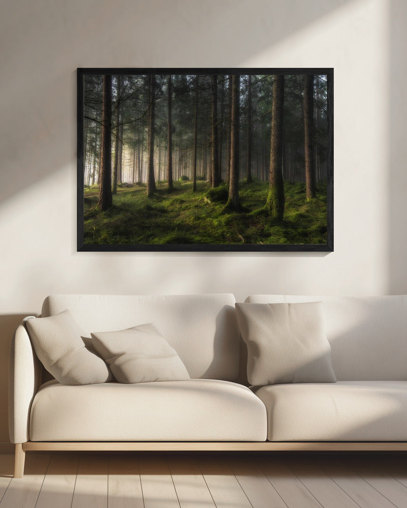 Een gevoel van lente | Canvas