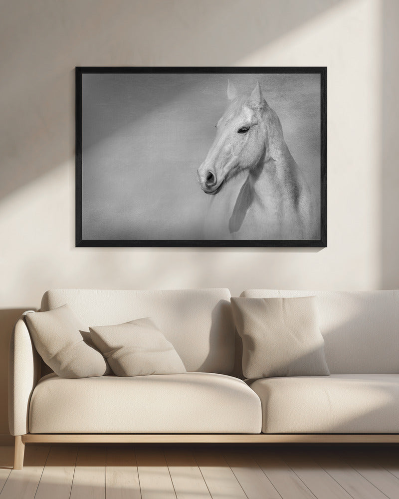 Het grijze paard | Canvas