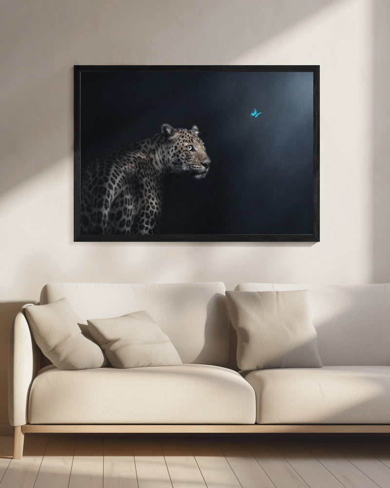 Verbeelding | Canvas