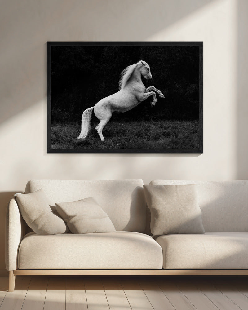 een kort verhaal over een grassprietje in een hoef | Canvas