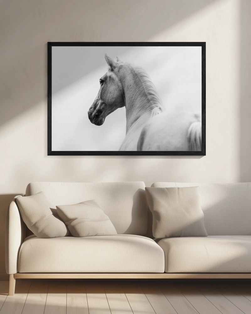 een kort verhaal over een geschoren paard | Canvas