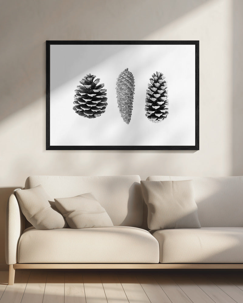 Dennenappelstudie | Canvas