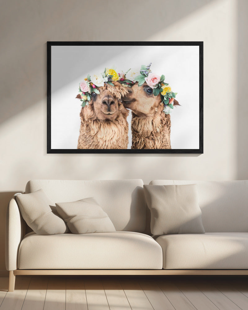 Boho Alpaca's | Canvas