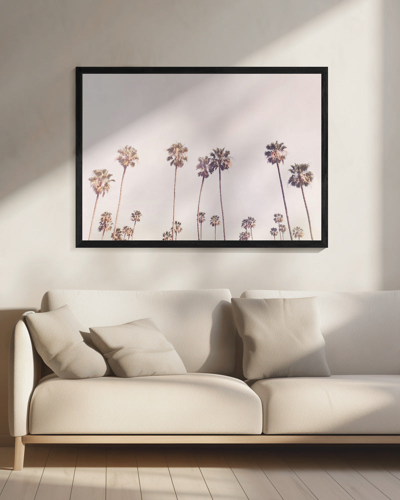 Zonnige Californische palmbomen | Canvas