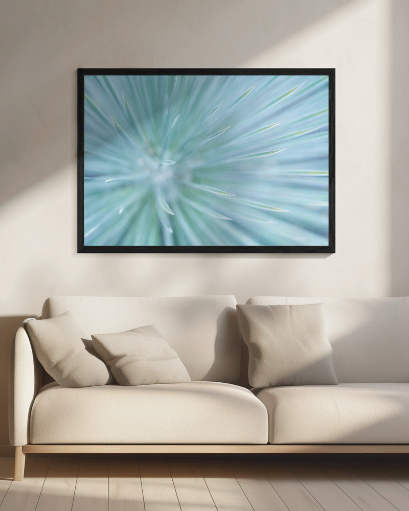 Soft Spikes | Canvas
