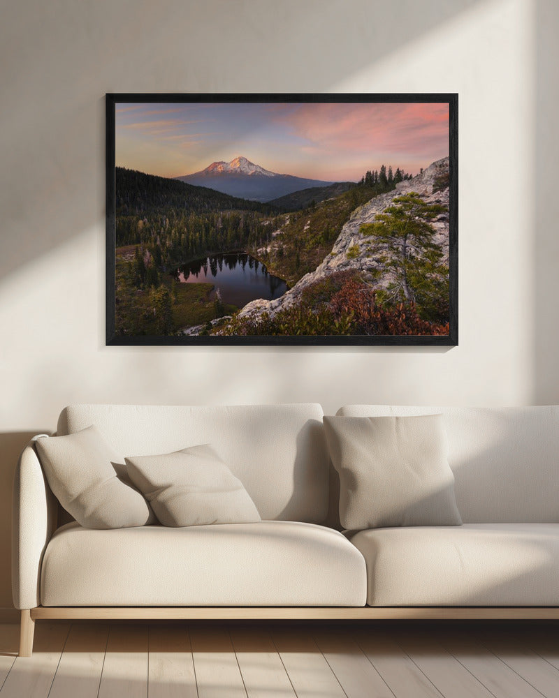Hartmeer | Canvas