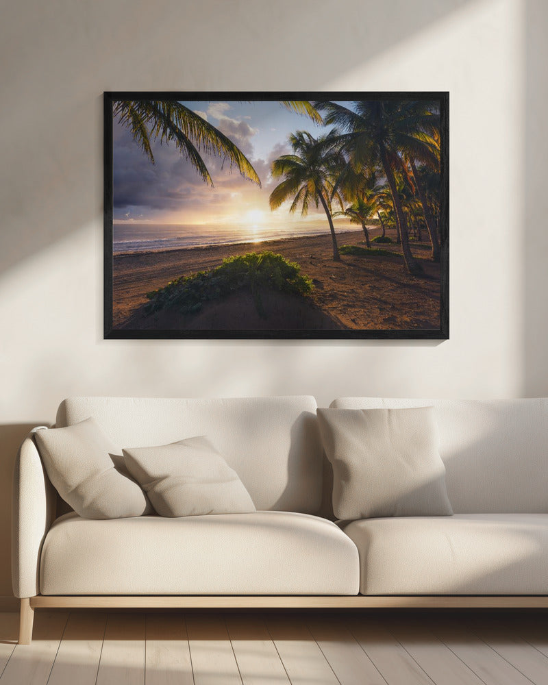 Goedemorgen Paradijs | Canvas