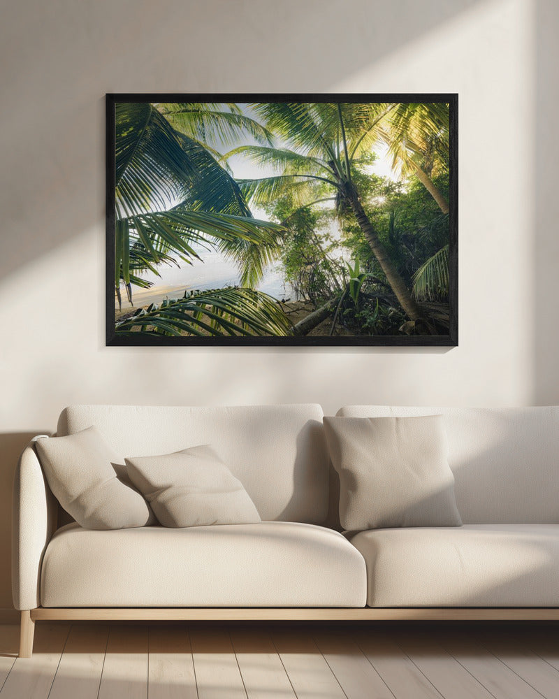 Verberg onder Palmen | Canvas