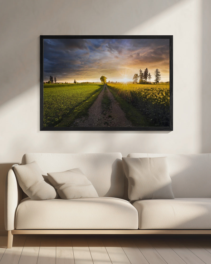 Zomerweide | Canvas