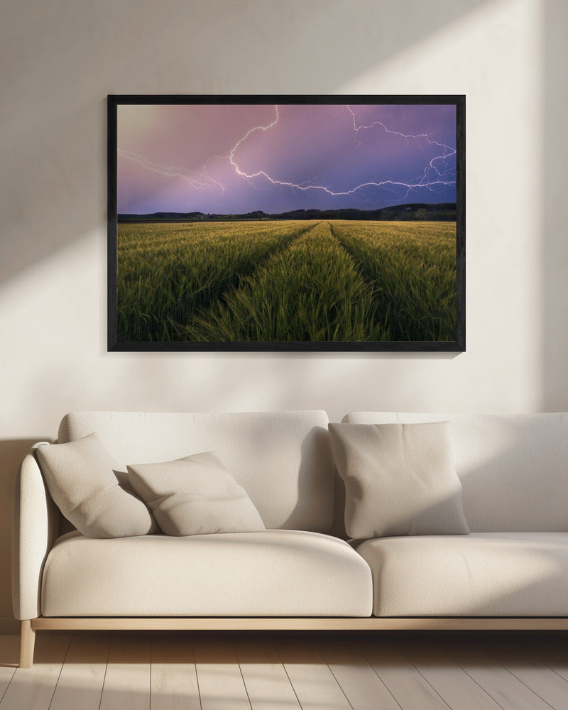 Bliksem | Canvas