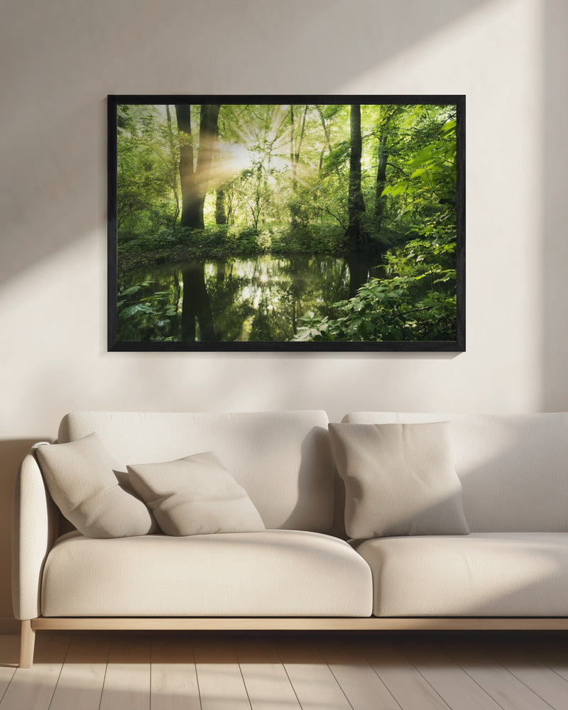 Groen Park | Canvas