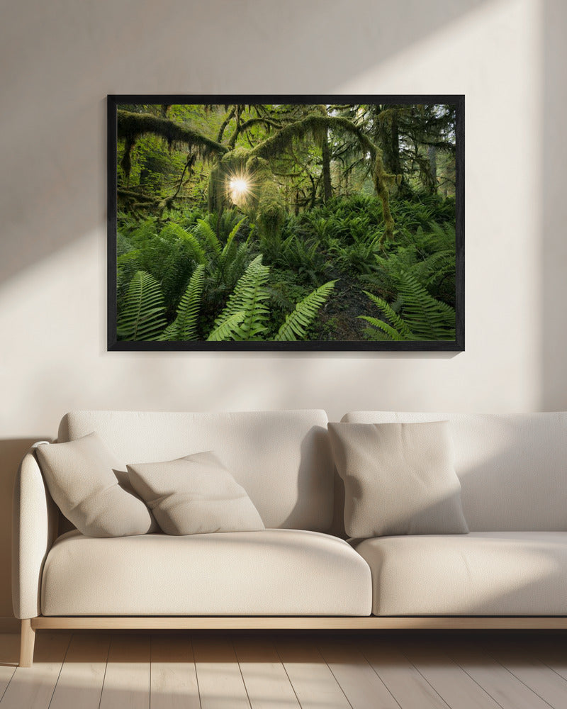 Elks Gateway | Canvas