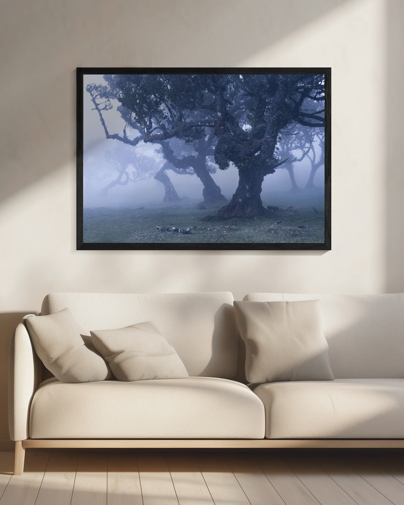 Blauwe bossen | Canvas