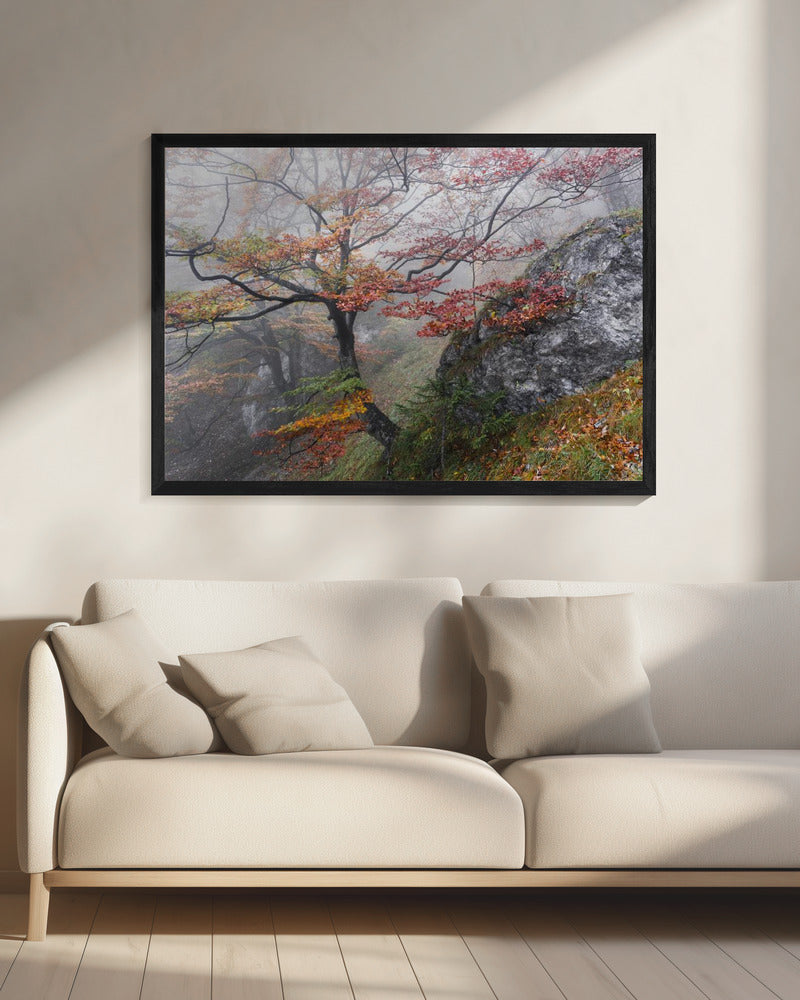 Mistige bossen | Canvas