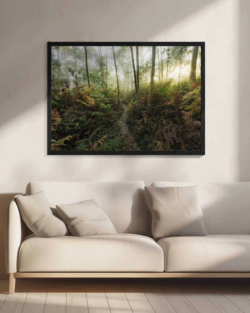 Mistige bossen II | Canvas