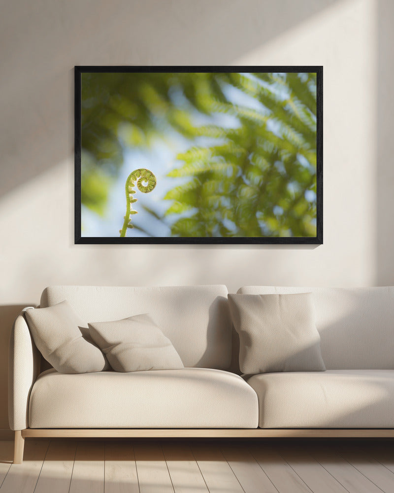 Varen Detail III | Canvas