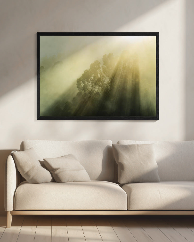 Foggy Woods III | Canvas