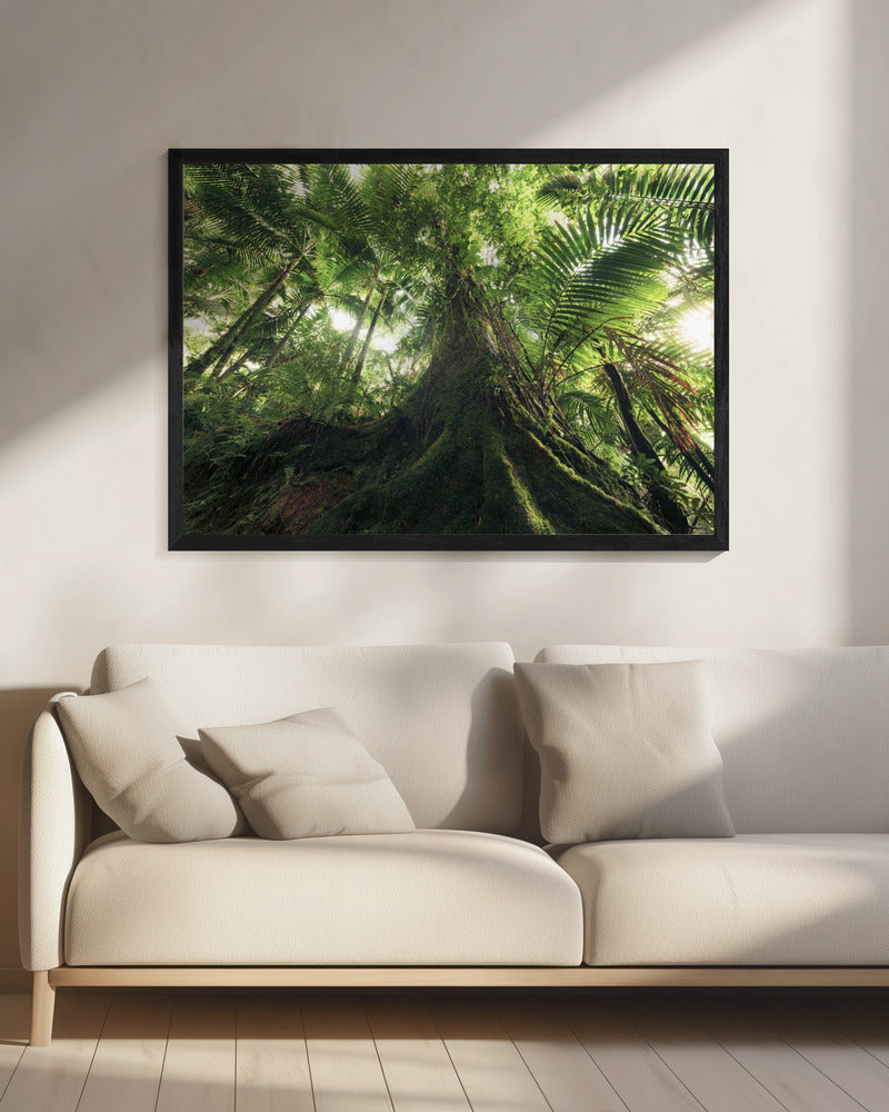 Wandelen in de jungle | Canvas
