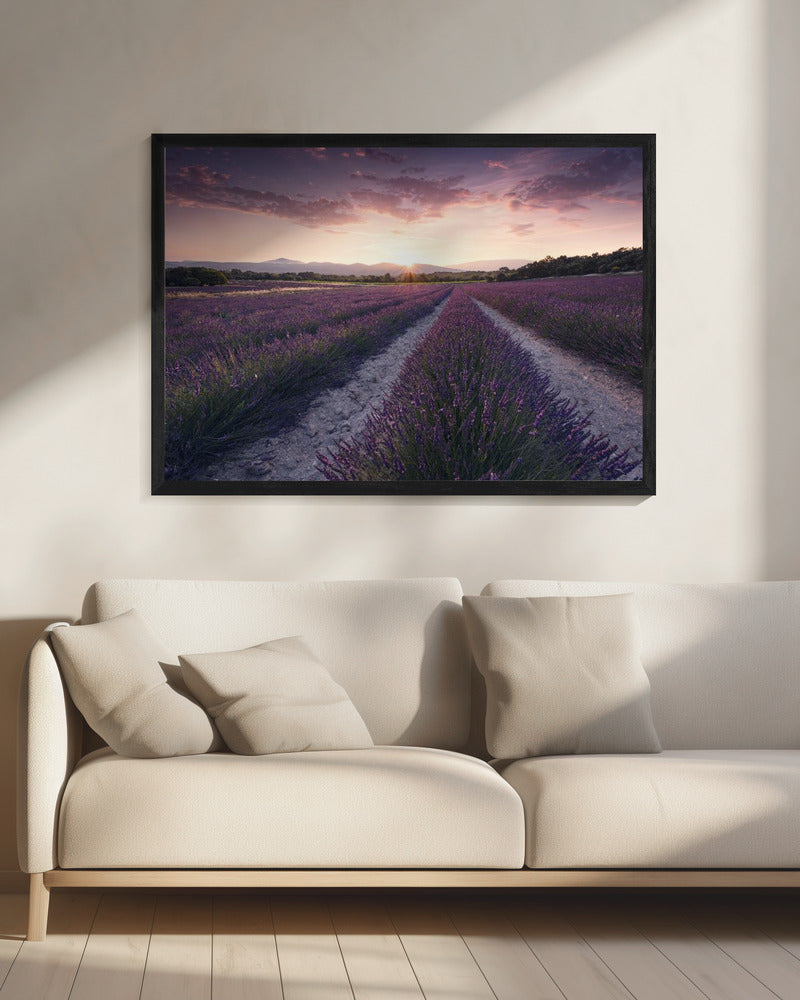Paarse Provence | Canvas