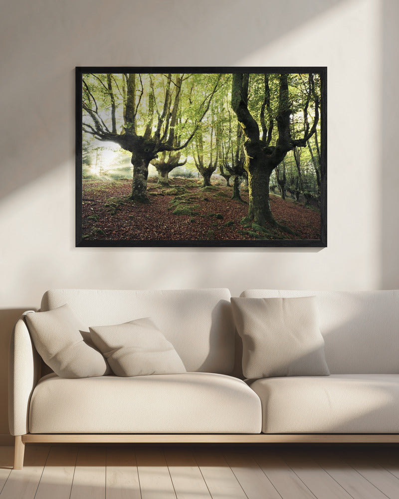 Magisch Bos | Canvas