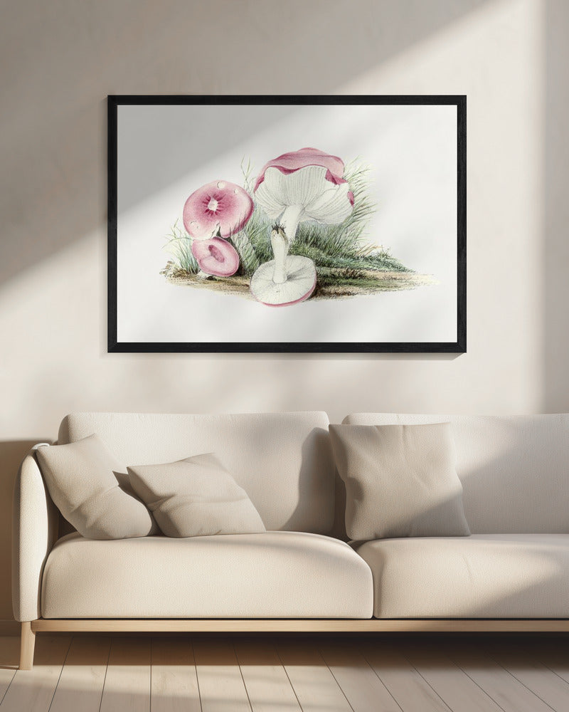 Vintage Russula Emetica Paddenstoel | Canvas
