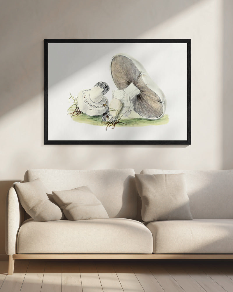 Handgetekende paardenpaddestoel | Canvas
