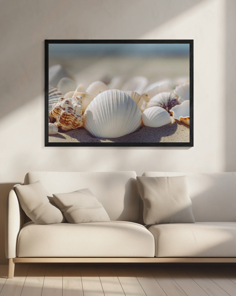 Schelpen aan zee | Canvas