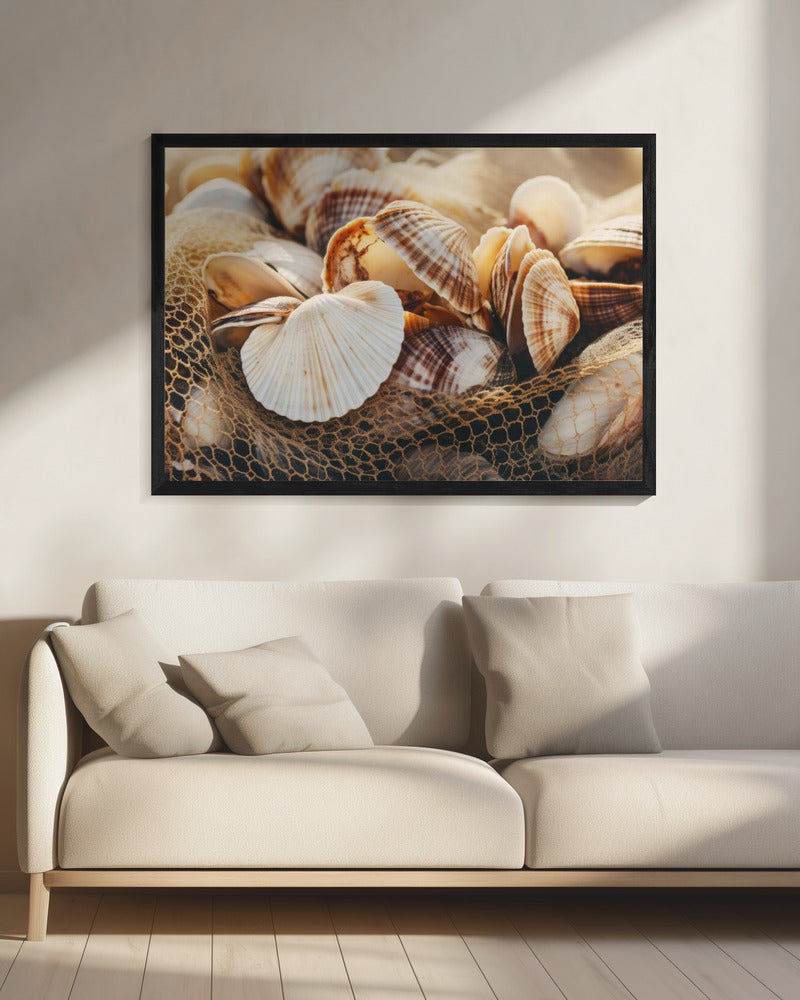 Schelpensymfonie | Canvas